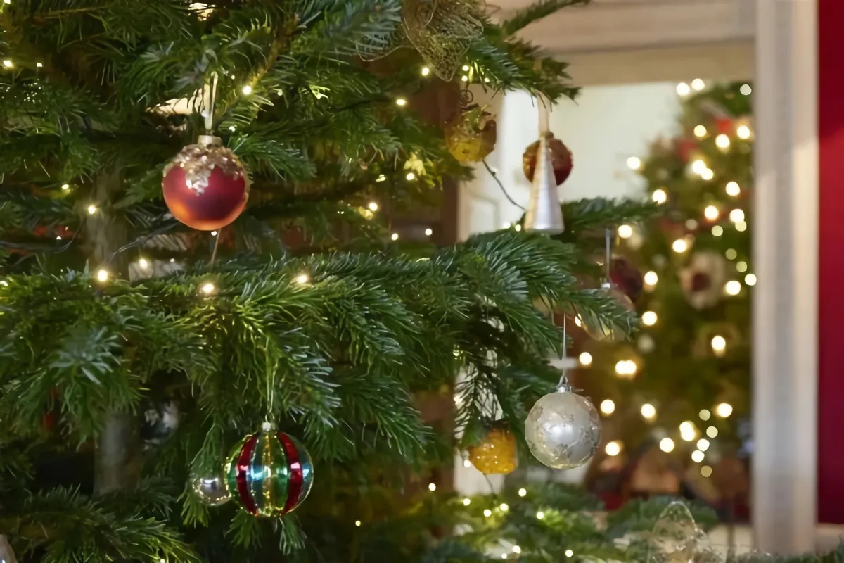 weihnachtsbaum geschmückt christbaumkugeln schöne weihnachtsbilder
