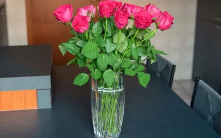 wie halten rosen länger in der vase nützliche tipps