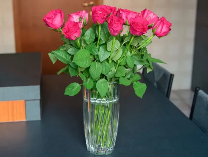 wie halten rosen länger in der vase nützliche tipps
