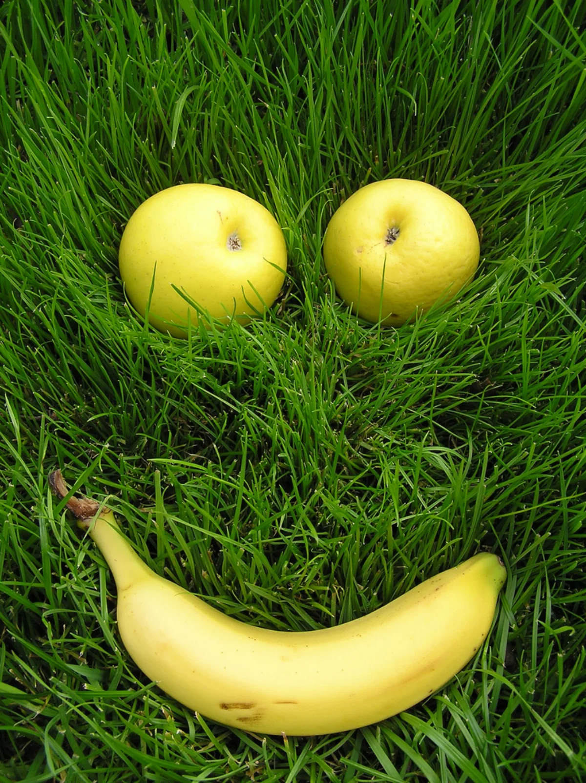 smiley aus aepfeln und bananen auf gruenem gras