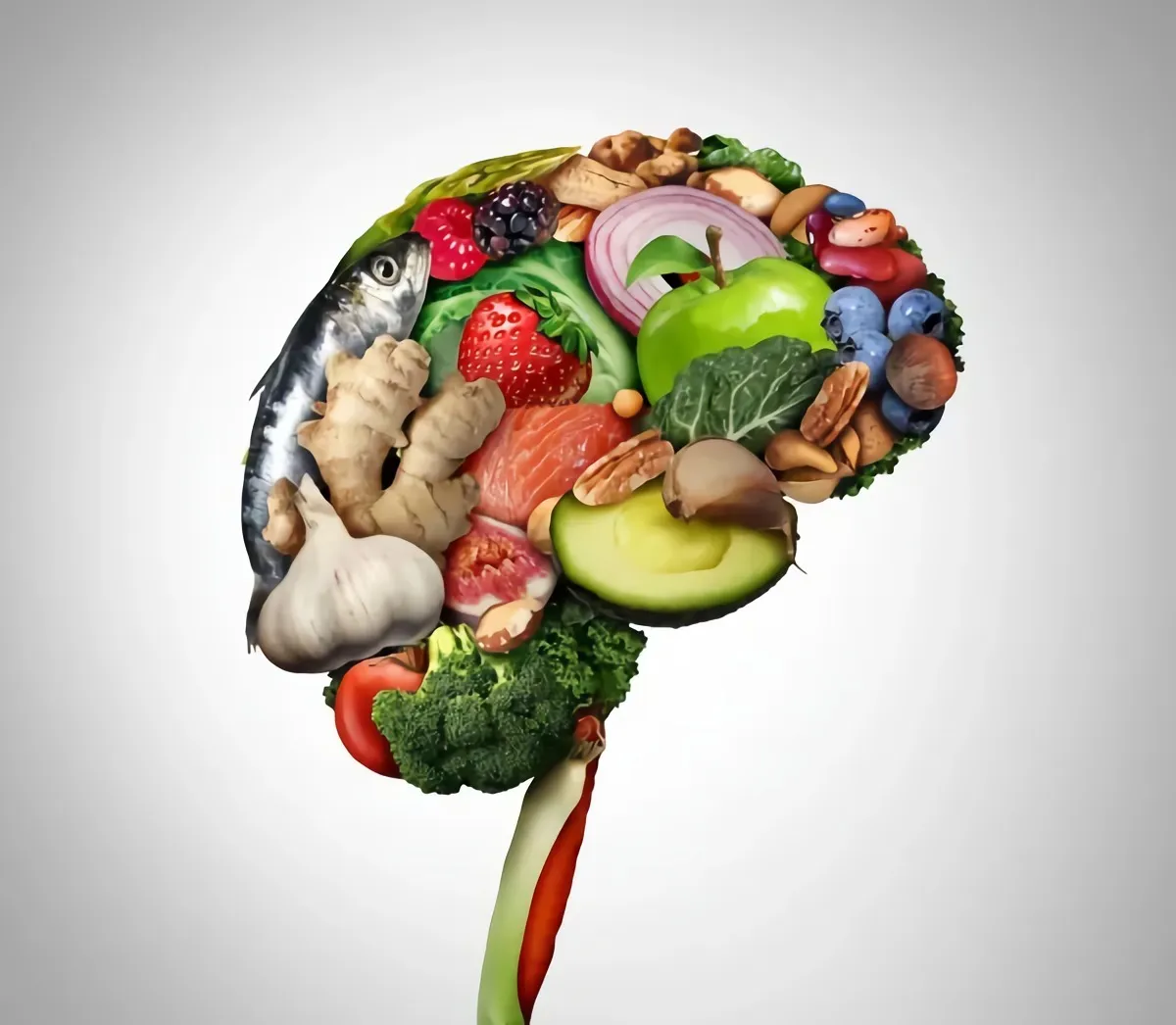 brainfood lebensmittel halten unser gehirn fit