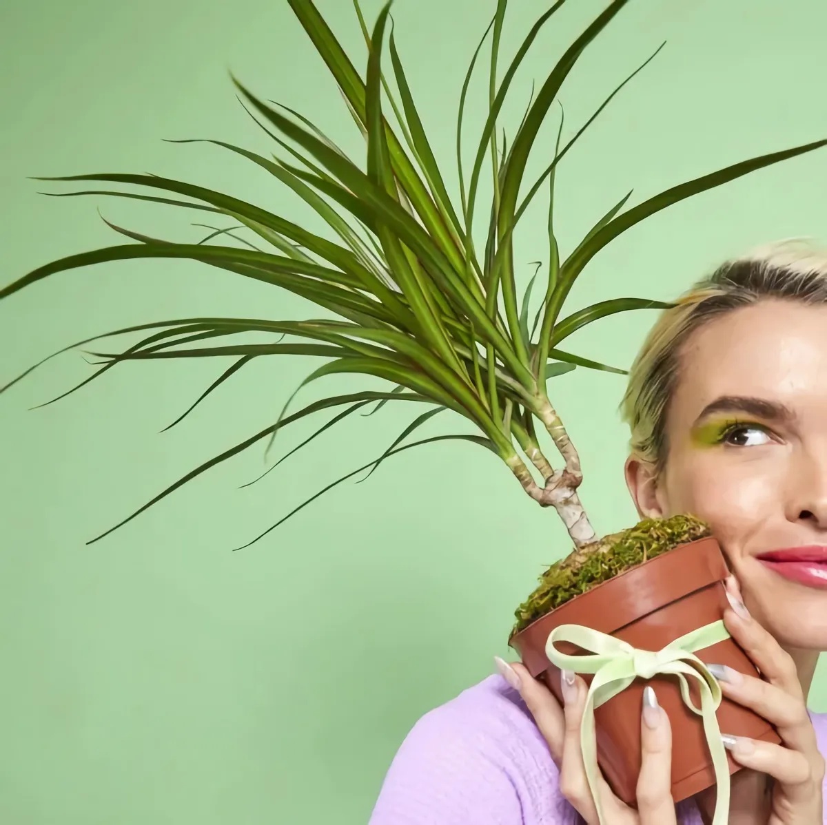 drachenbaum geschenk blumentopf mit dekoband frau grüner lidschatten