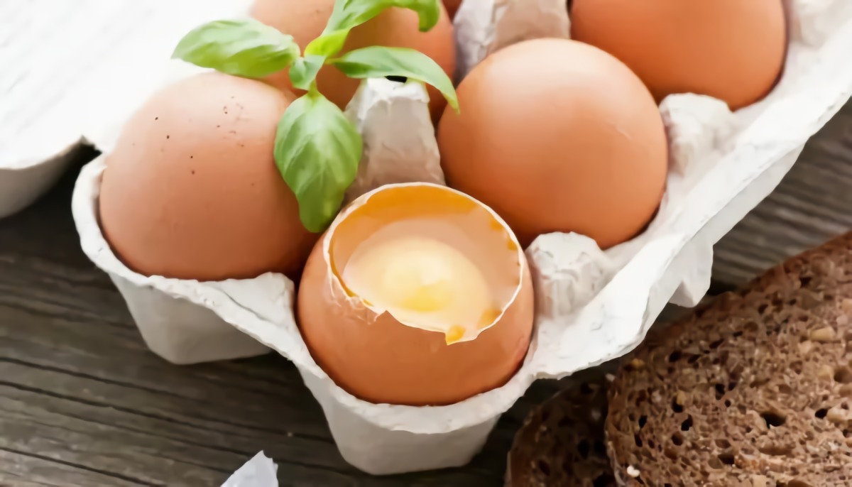 eier am besten lagern frische eier lagern wie bewahrt man eier am besten auf karton mit eier ein ei gebrochen