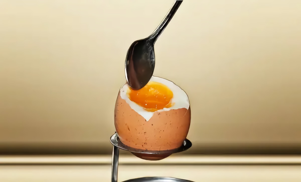 eier lagern spitze nach unten wie bewahrt man eier richtig auf zum teil gekochtes ei auf stand mit ei eigelb nehmen