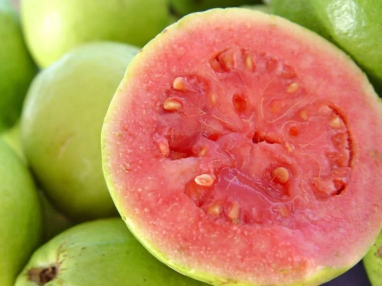 guave suess saeuerliche frucht