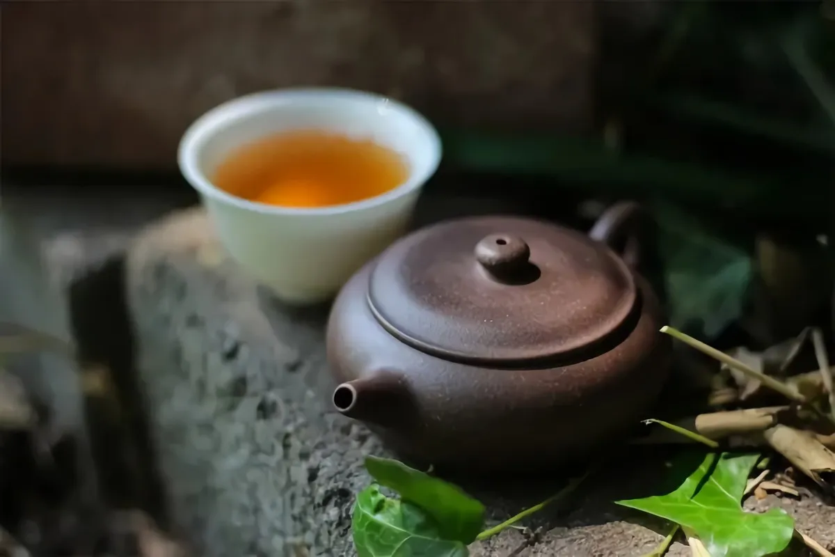 jeden tag tee trinken gesundheit vorteile grüner tee