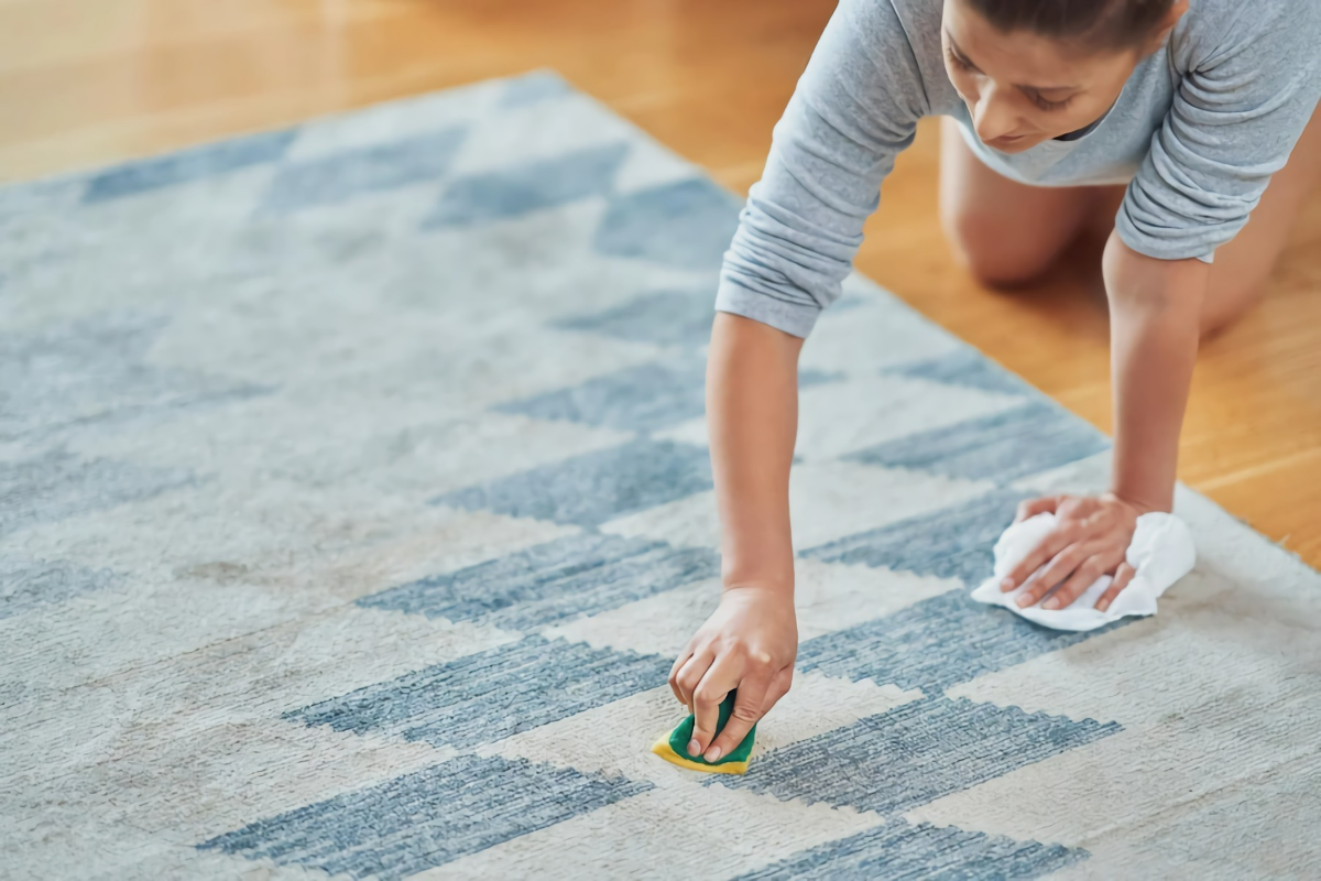 teppich reinigen mit hausmitteln flekcen auf teppich entfernen