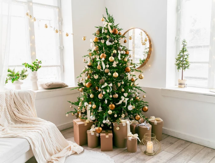 types of christmas trees 1666310586