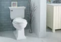 Mehr als 10 Wege, mit Hausmitteln den Wasserrand in der Toilette zu entfernen