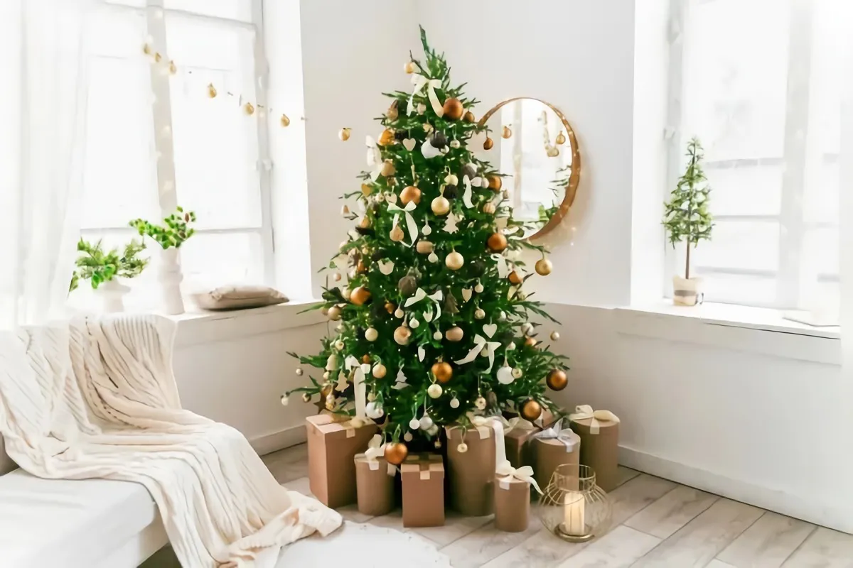 weihnachtsbaum weiterverwenden anstatt auf straße stellen