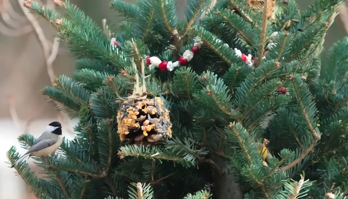 weihnachtsbaum wilde vögel im garten füttern