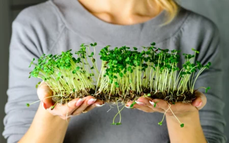 frau mit grauer bluse und blondem haar hält gepflanzte microgreens in den händen