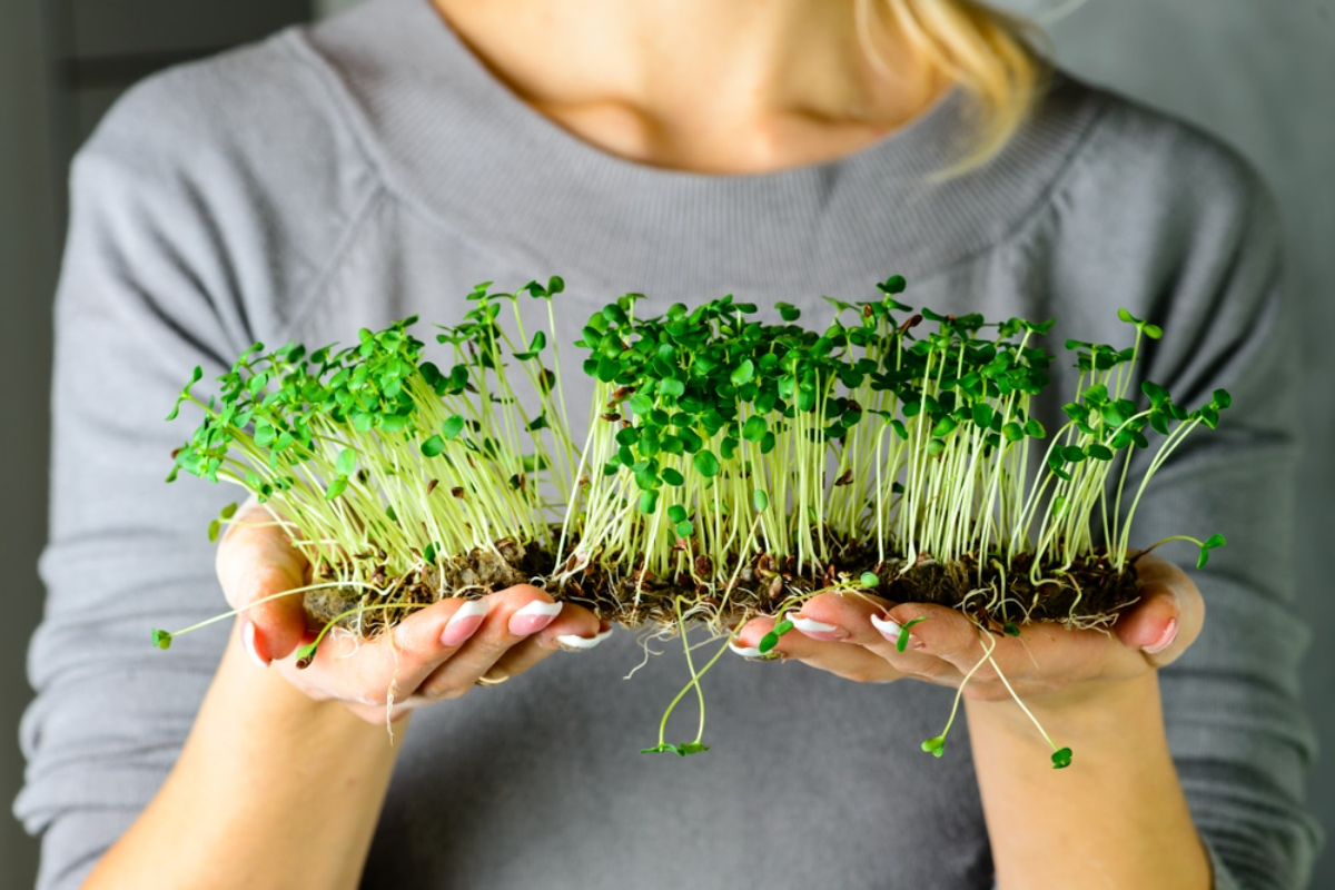 frau mit grauer bluse und blondem haar hält gepflanzte microgreens in den händen