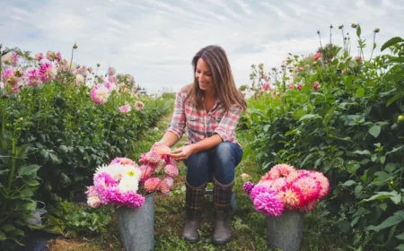 dahlien aus samen ziehen was moegen dahlien nicht frau im garten kniet zwei becher mit dahlien unterschiedliche sorten