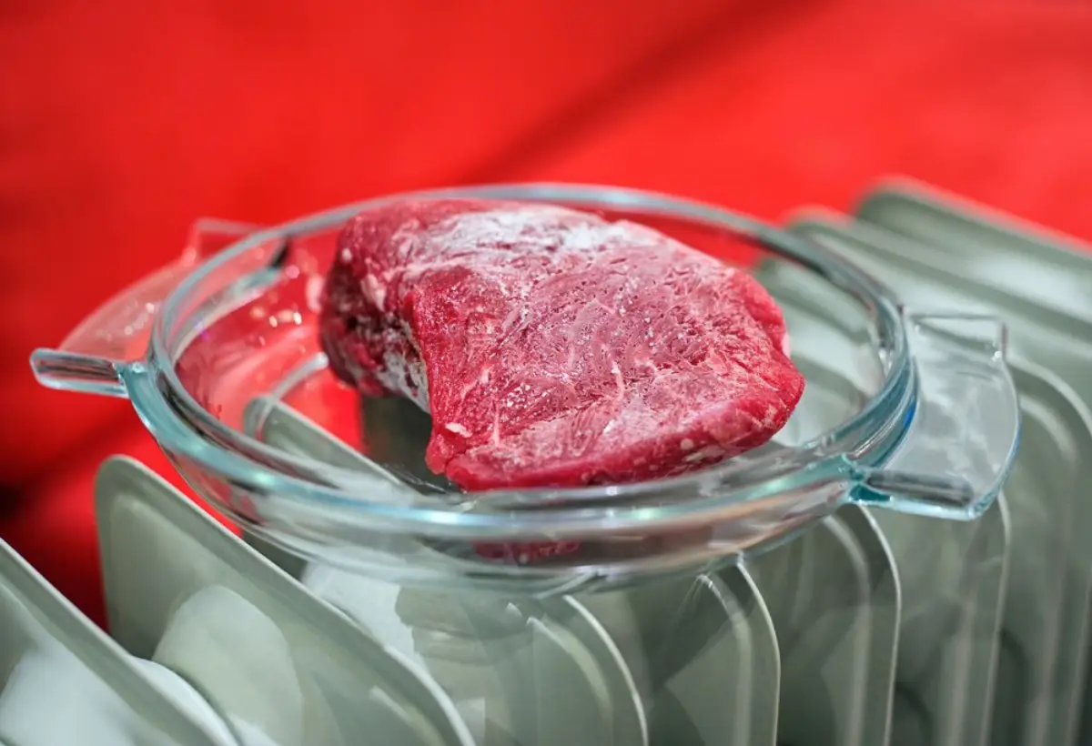 fleisch aufschnitt einfrieren kann man fleisch rof einfrieren gefrorenes rindfleisch auf heizkoerper auftauen