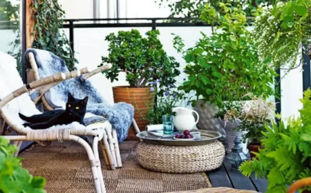 kleine ueberdachte terrasse gestalten kleine terrasse in boho stil mit sitzkissen und viele pflanzen schwarze katze am sessel
