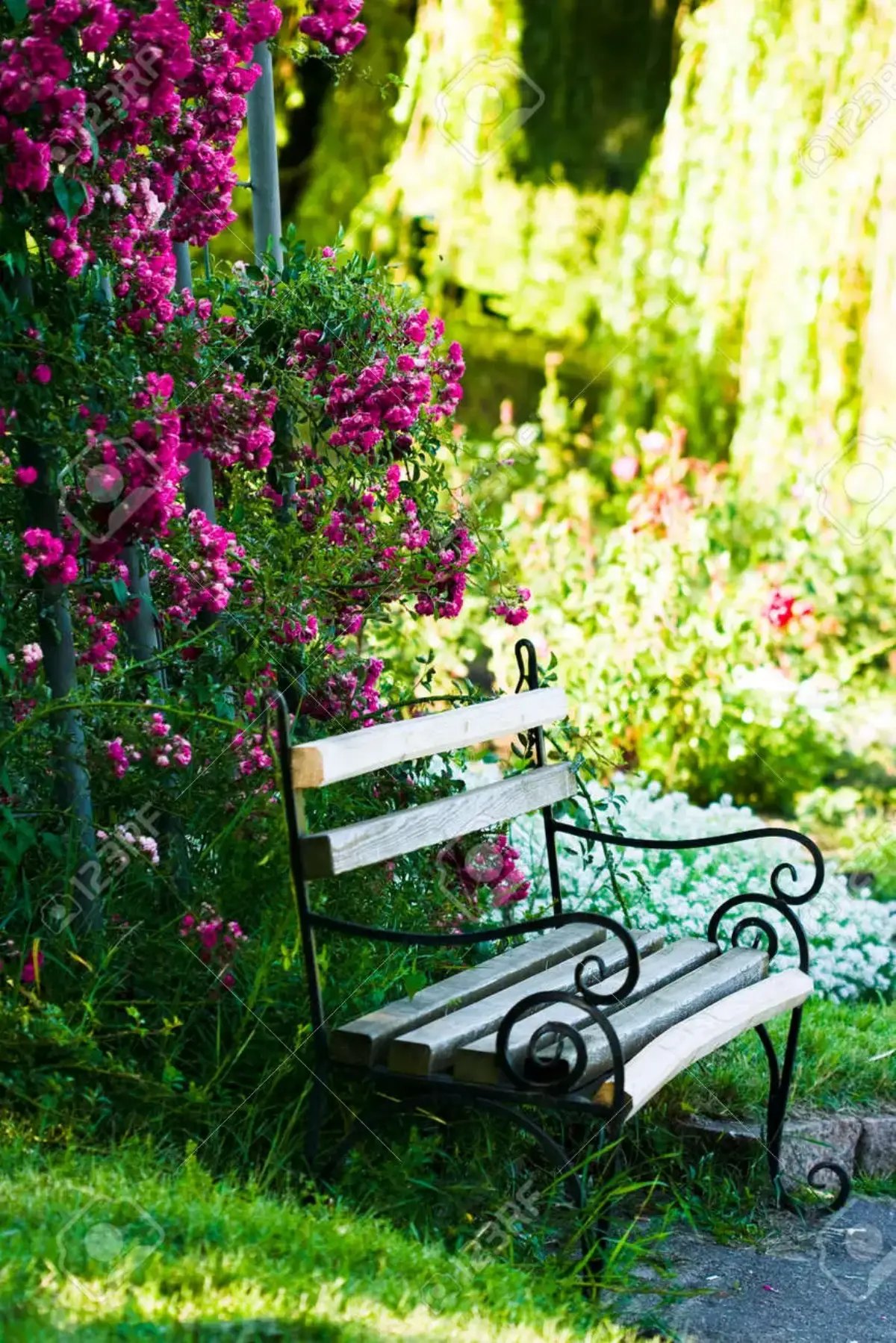 kleiner romantischer garten gestalten wie lege ich einen pflegeleichten garten an weisse bank unter zaun mit kletterrosen fuchsia