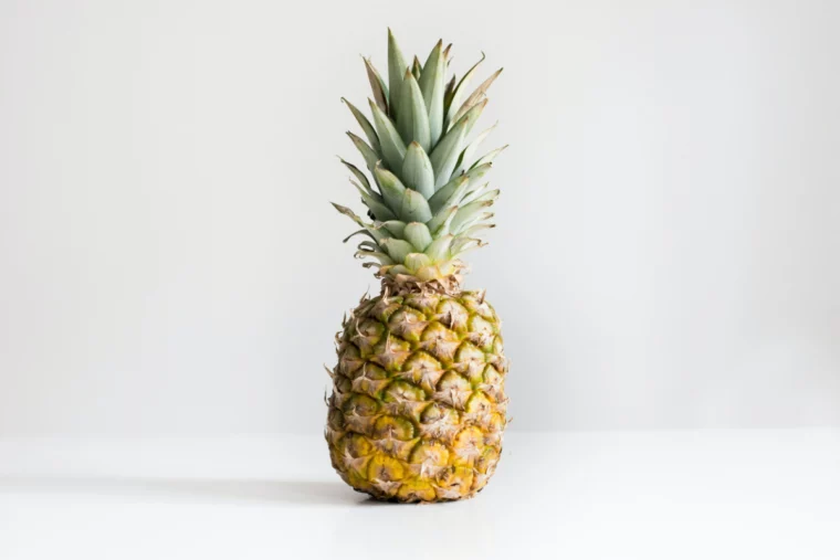 reinigungsalkohol hacks gegen fruchtfliegen ananas