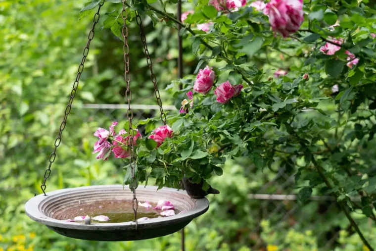 romantischer garten pflanzen vogeltraenke haengend kletterrosen auf bogen