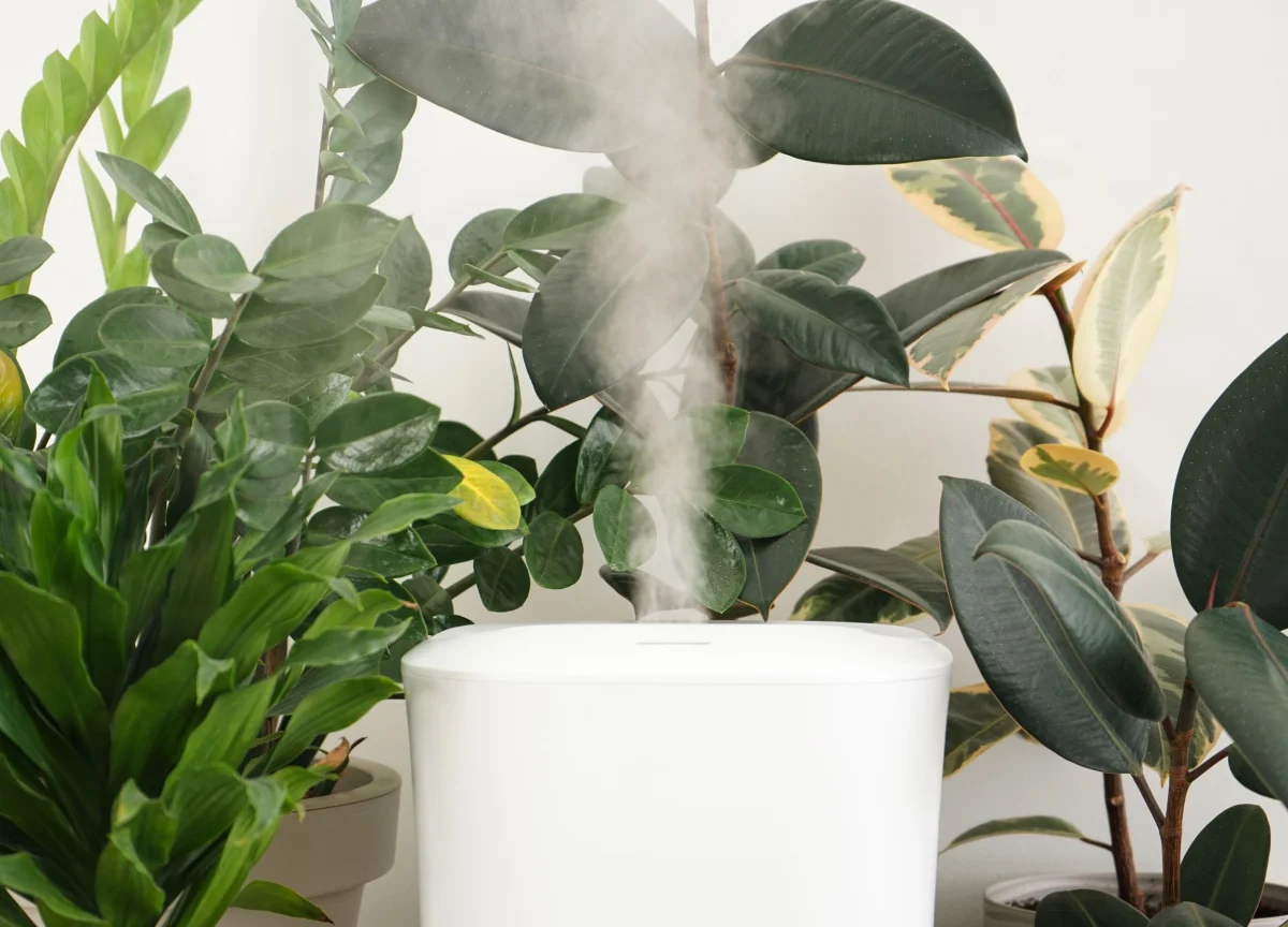 weißer luftbefeuchter mit wasserdampf zwischen gruenpflanzen