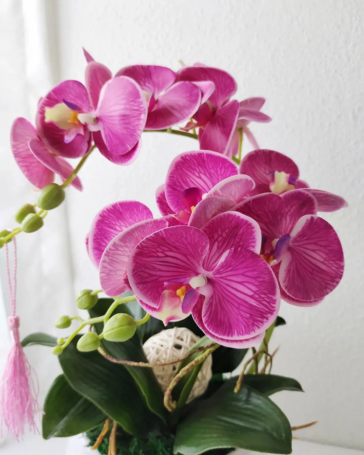 welche natuerlichen duenger fuer orchideen