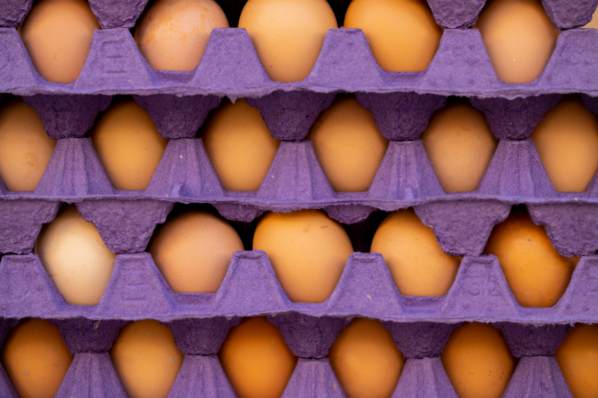 wie eier lagern tipps eier aufbewahrung