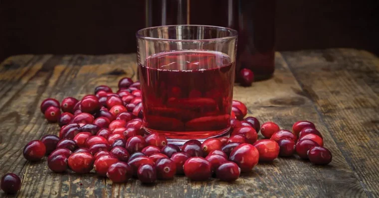 glas mit cranberrysaft als hausmittel gegen blasenentzündung auf holztisch