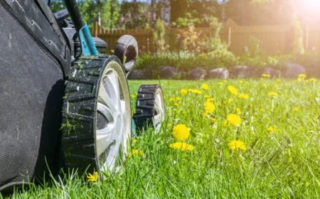 rasen mit gelben blumen im frühling mit blauem rasenmäher mähen