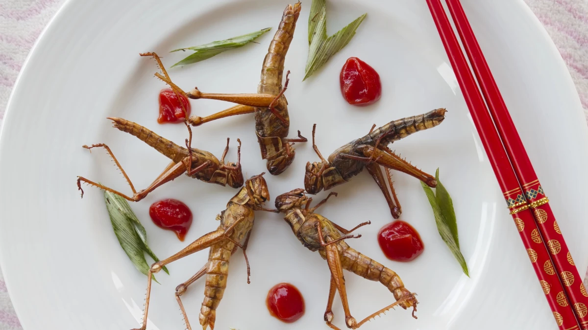 asiatische kueche insekten essen