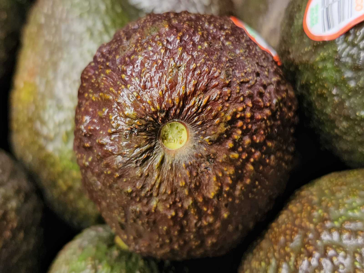 avocado innen braun essbar oder nicht