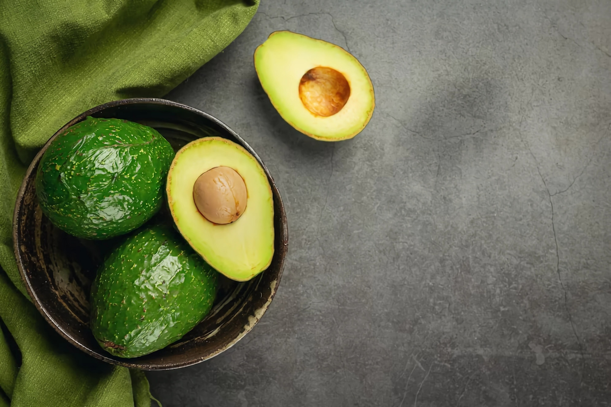 avocadopflanze selber ziehen zu hause fehler