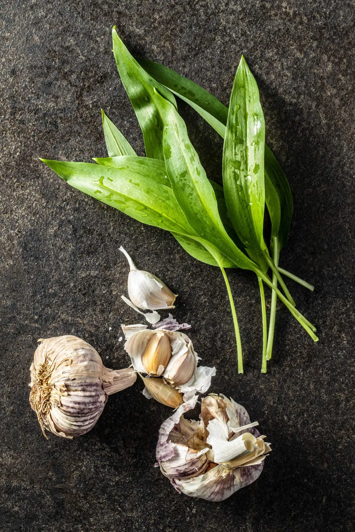 bärlauch im garten anpflanzen blätter wachsen schnell