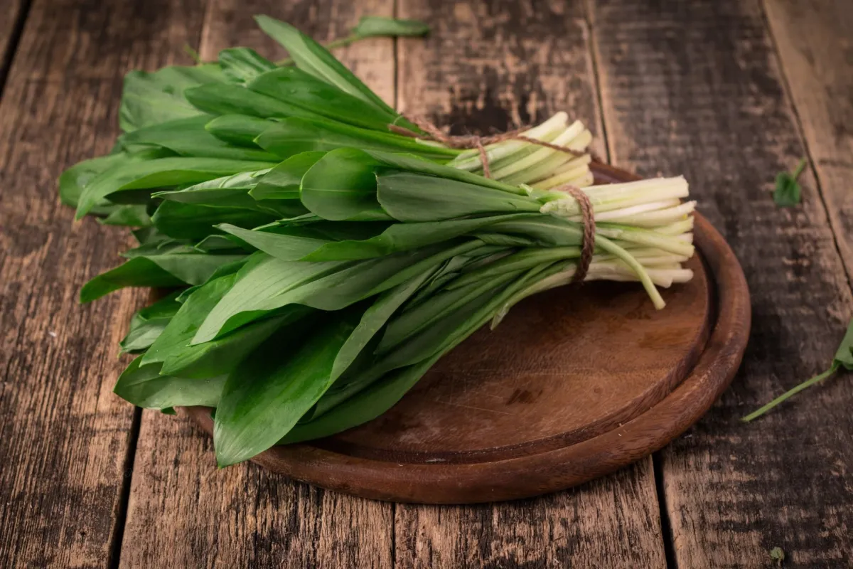 bärlauch in der küche zubereitet als salat gesund