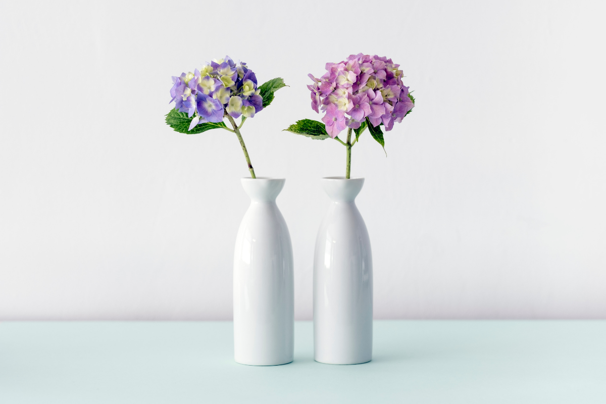 blumen frisch halten fruehlingsflieder weisse vasen