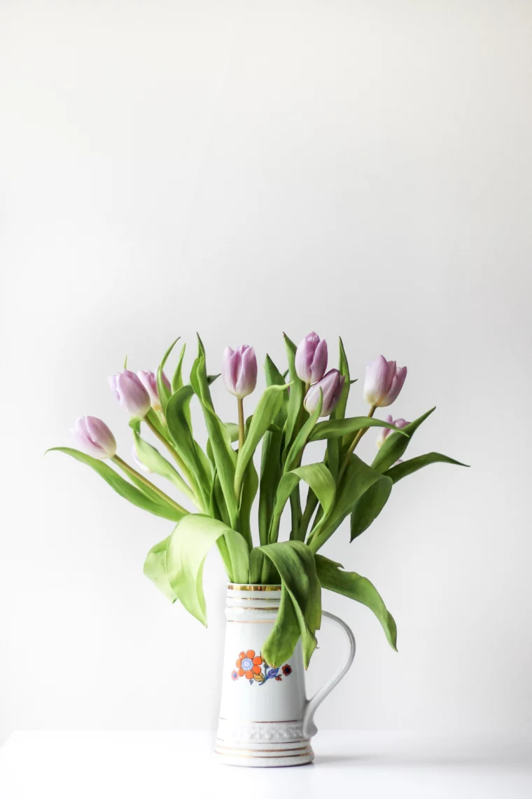 blumen laenger haltbar machen hausmittel tulpen