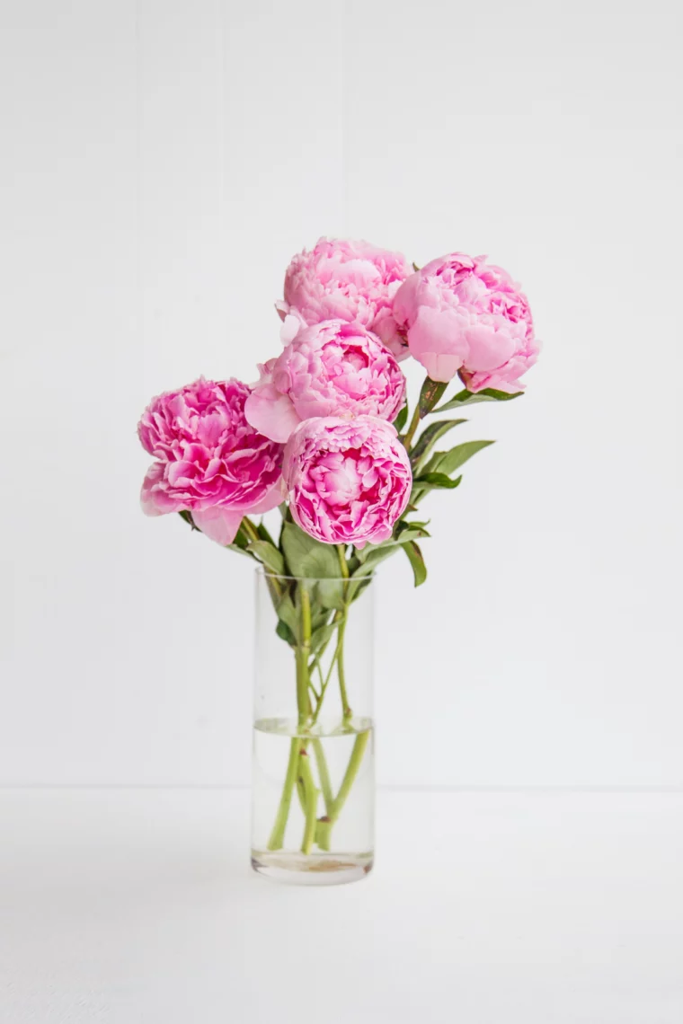 blumenstrauss frisch halten in der vase