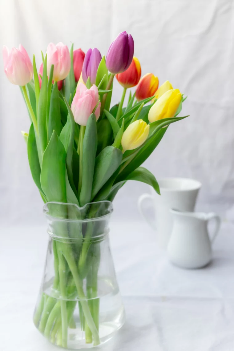 blumenstrauss laenger haltbar machen glasvase mit tulpen