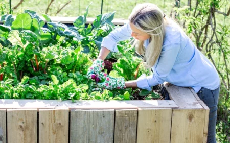 darauf muessen sie achten hochbeet fuer den fruehling vorbereiten