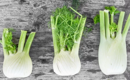 drei stücke fenchel auf grauem holzbrett