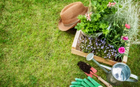 gartenpflege im fruehjahr diese 4 fehler sollte man vermeiden