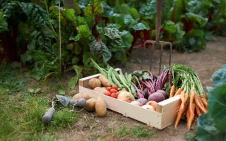 gemüse aus dem eigenen garten nutzgarten tipps