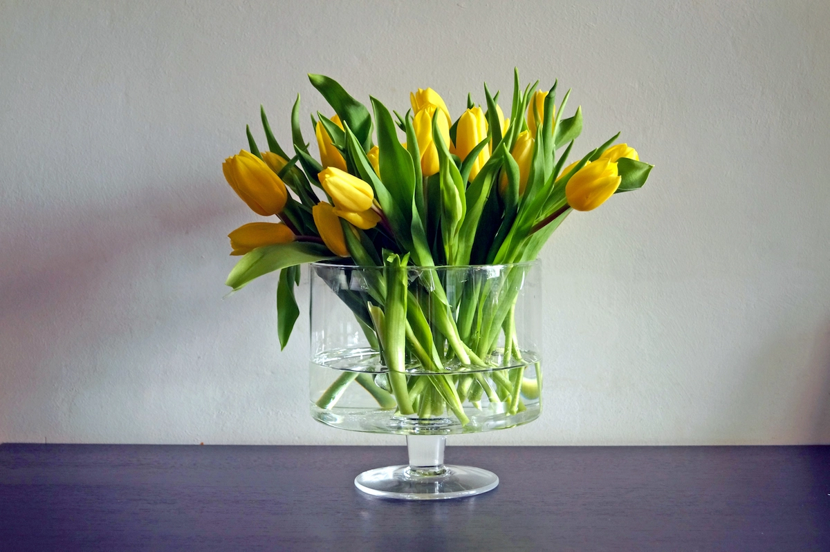 hausmitteln die helfen tulpen in der vase laenger haltbar machen