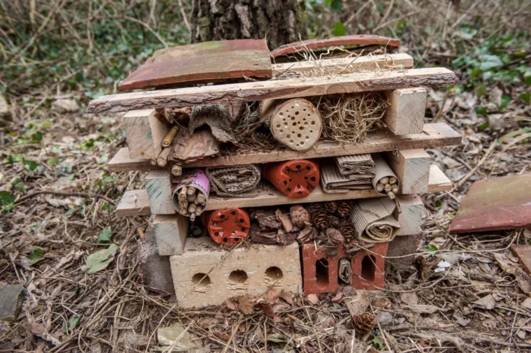 käferhotel selber bauen sicheres versteck für wildtiere bieten