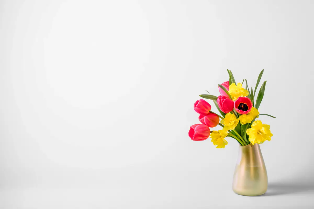 osterglocken und tulpen in einer vase vase mit osterglocken gelb und pink tulpen