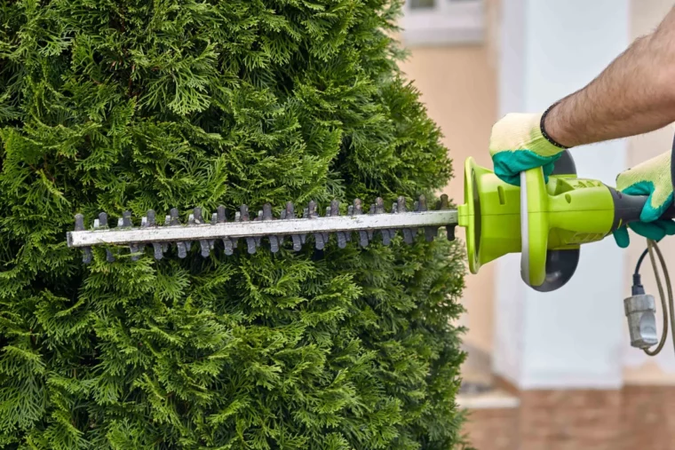 seiten der hecke schneiden von unten nach oben