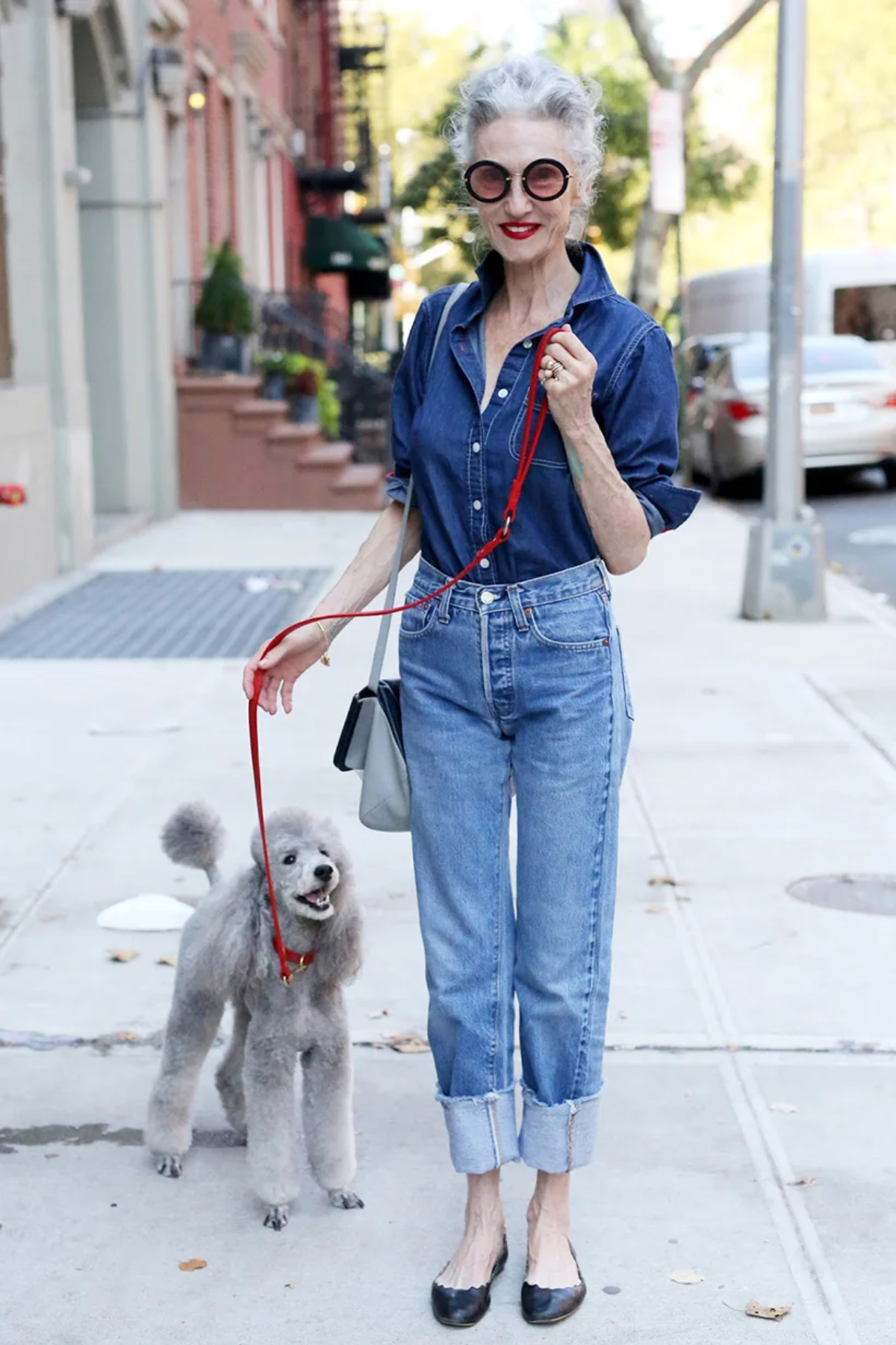 stilvolle dame über 60 in jeans hemd und schwarzen schuhen geht mit grauem pudelhund spazieren