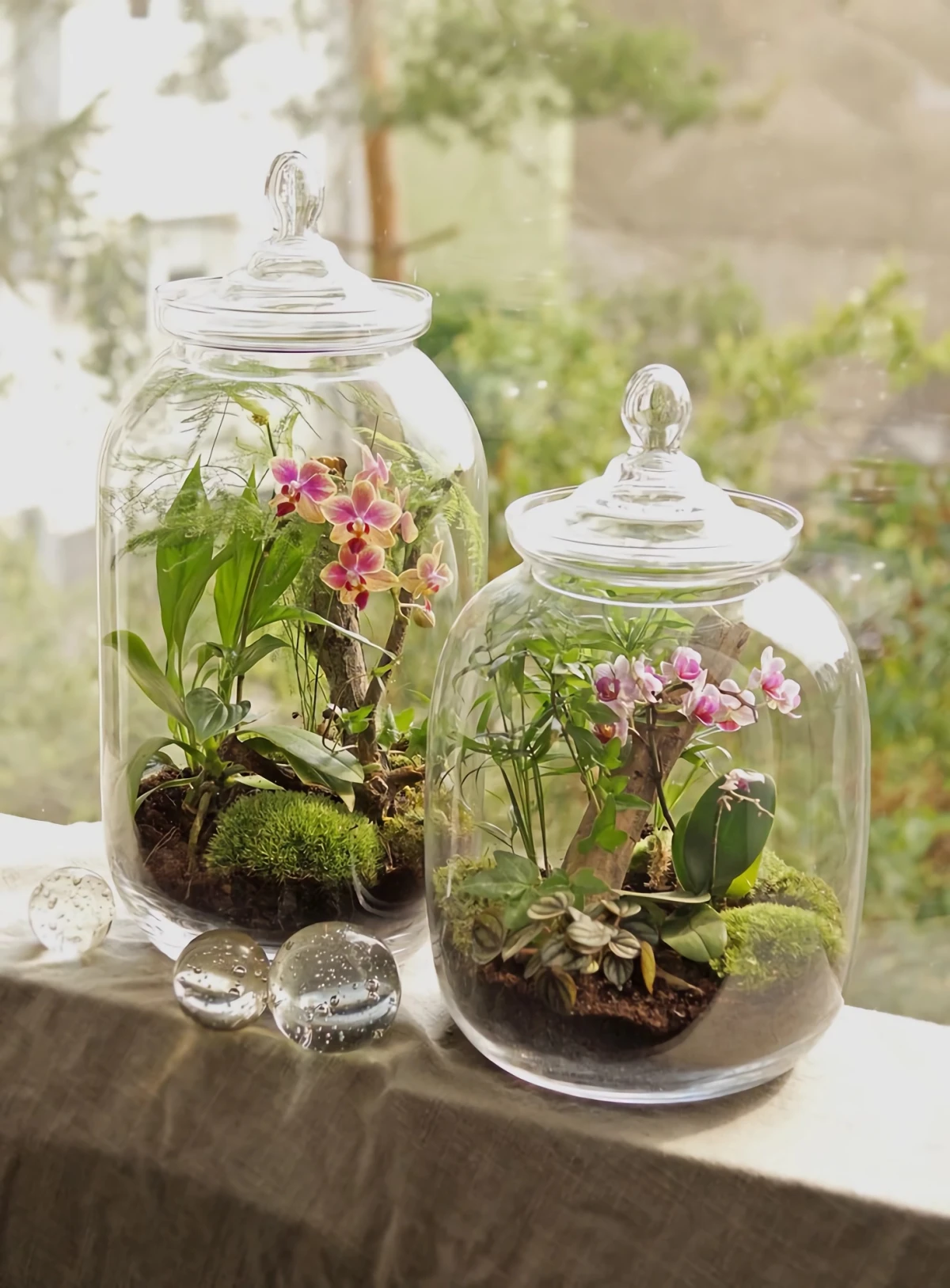 terrarium mini orchideen im glas