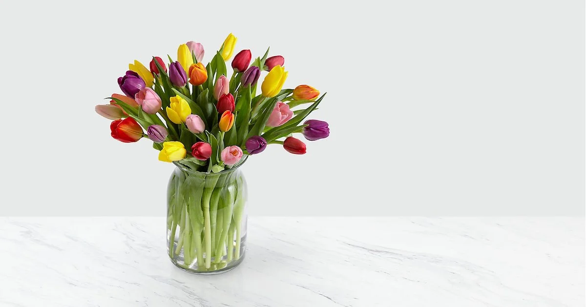 tilpen tipps tulpen in der vase laenger haltbar machen