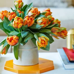 tipps fuer laengere frische tulpen in der vase laenger haltbar machen