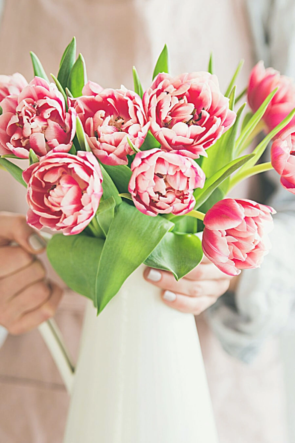 tipps und tricks tulpen in der vase laenger haltbar machen